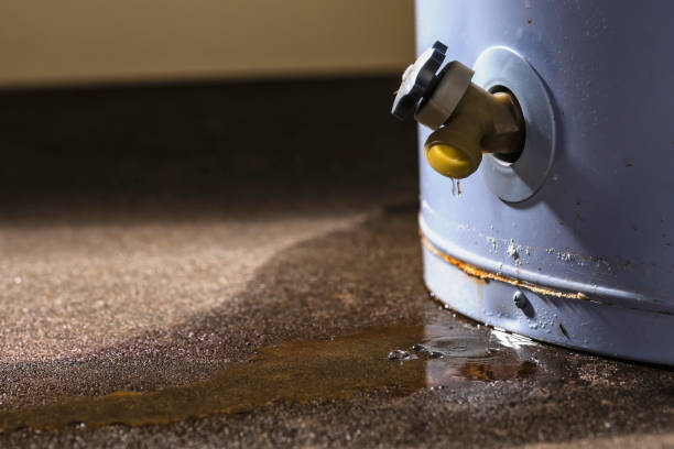 Best Water damage restoration cost  in Madison Lake, MN