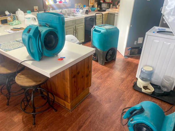 Best Basement water damage restoration  in Madison Lake, MN