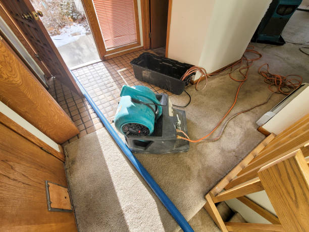 Best Sewage cleanup and water damage restoration  in Madison Lake, MN