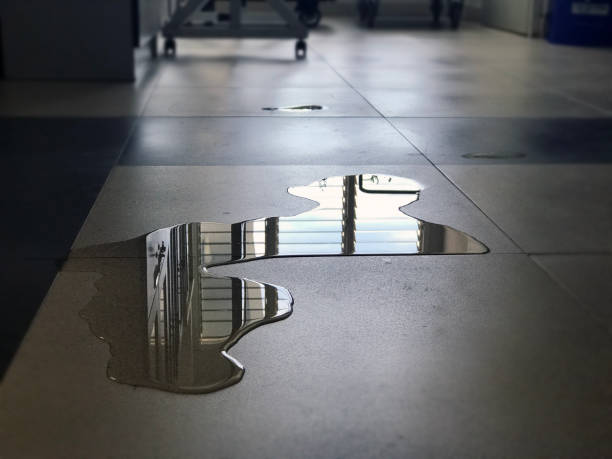 , MN Water damage restoration Company