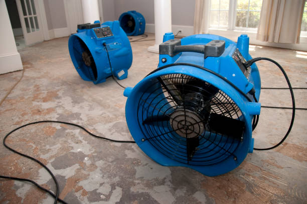 Best Flooded house restoration  in Madison Lake, MN
