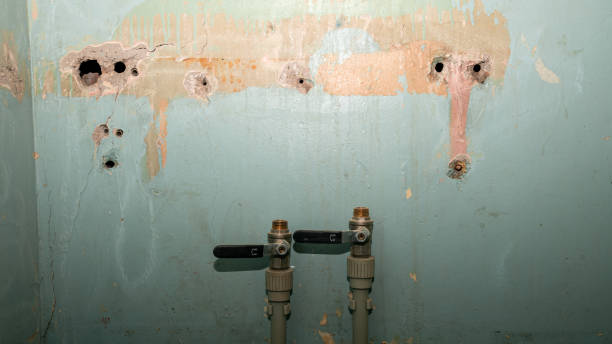  Madison Lake, MN Water damage restoration Pros