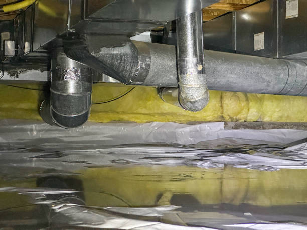 Best Water damage restoration near me  in Madison Lake, MN