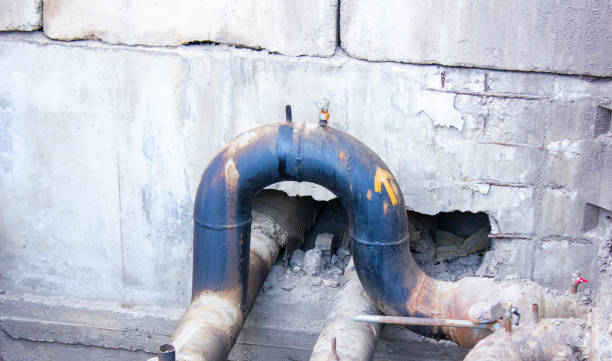 Best Mold removal after water damage  in Madison Lake, MN