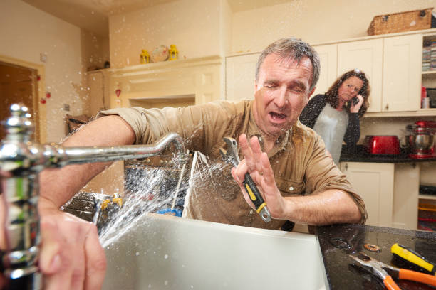 Best Flood damage cleanup  in Madison Lake, MN
